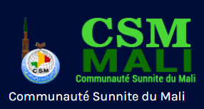 Logo CSM Mali